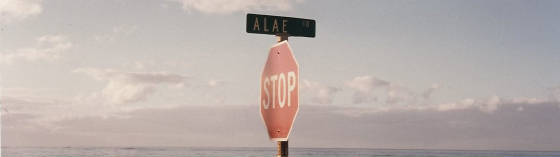 STOP ALAE! (See Links/Pictures for info. about this and other pictures)